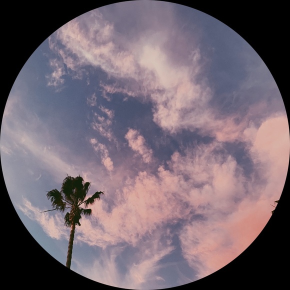leahi_122
